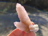 Natural Amethyst Cactus Flower Spirit Quartz Cluster x 12 From South Africa