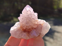 Natural Amethyst Cactus Flower Spirit Quartz Cluster x 12 From South Africa
