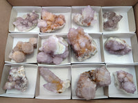 Natural Amethyst Cactus Flower Spirit Quartz Cluster x 12 From South Africa