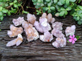Natural Amethyst Cactus Flower Spirit Quartz Cluster x 12 From South Africa - Toprock Gemstones and Minerals 
