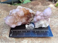 Natural Amethyst Cactus Flower Spirit Quartz Cluster x 12 From South Africa