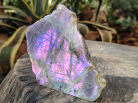 Polished On One Side Large Purple Flash Labradorite Plates x 3 From Tulear, Madagascar