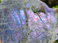 Polished On One Side Large Purple Flash Labradorite Plates x 3 From Tulear, Madagascar