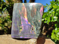 Polished On One Side Large Purple Flash Labradorite Plates x 3 From Tulear, Madagascar