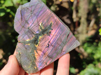 Polished On One Side Large Purple Flash Labradorite Plates x 3 From Tulear, Madagascar