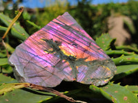 Polished On One Side Large Purple Flash Labradorite Plates x 3 From Tulear, Madagascar