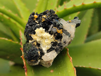 Natural Fibrous Terminated Schorl Black Tourmaline with a little Hyalite Opal x 12 From Erongo, Namibia