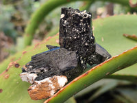 Natural Fibrous Terminated Schorl Black Tourmaline with a little Hyalite Opal x 12 From Erongo, Namibia