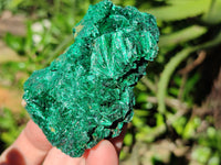 Natural Mixed Selection of Spirit Quartz and Silky Malachite x 6 From Southern Africa