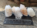 Natural Single White Cactus Flower Spirit Quartz Crystals x 35 From South Africa - Toprock Gemstones and Minerals 