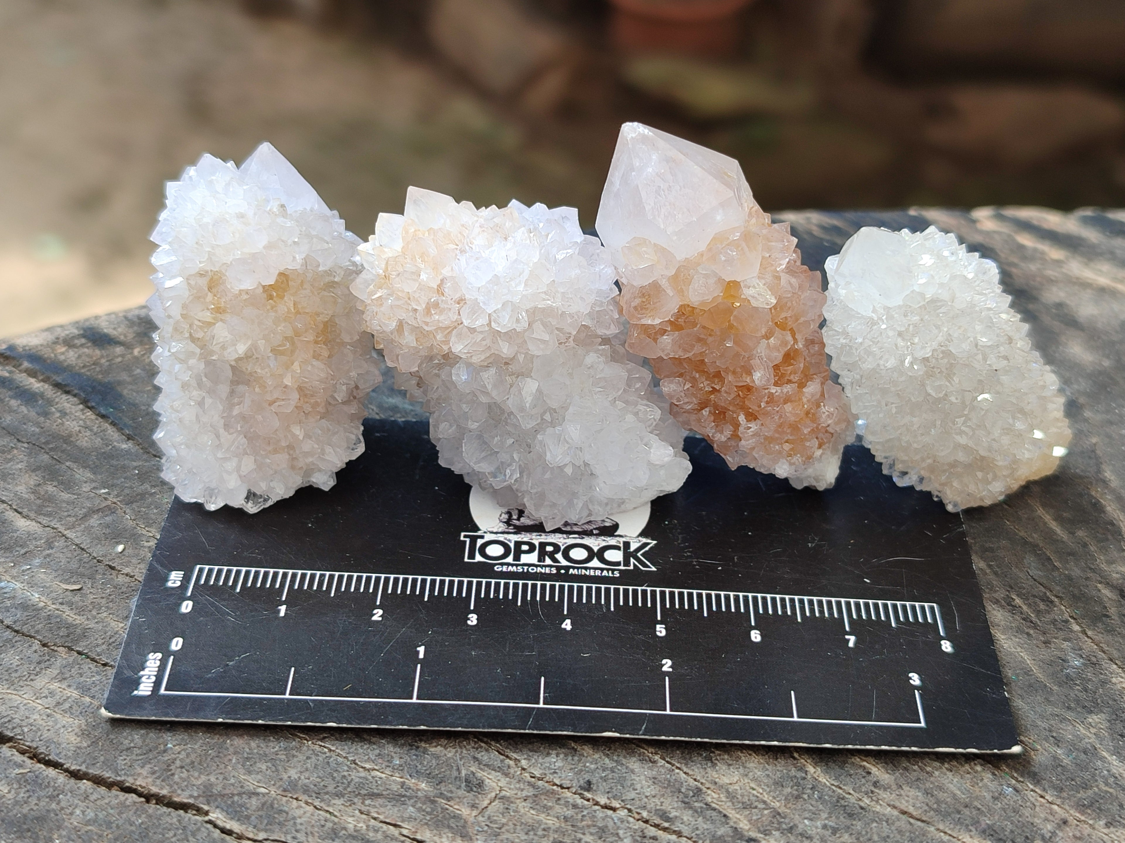 Natural Single White Cactus Flower Spirit Quartz Crystals x 35 From South Africa - Toprock Gemstones and Minerals 