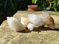 Natural Single White Cactus Flower Spirit Quartz Crystals x 35 From South Africa - Toprock Gemstones and Minerals 
