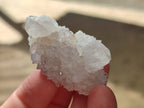 Natural Single White Cactus Flower Spirit Quartz Crystals x 35 From South Africa - Toprock Gemstones and Minerals 