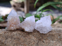 Natural Single White Cactus Flower Spirit Quartz Crystals x 35 From South Africa - Toprock Gemstones and Minerals 