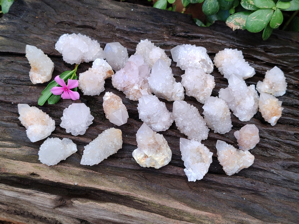 Natural Single White Cactus Flower Spirit Quartz Crystals x 35 From South Africa - Toprock Gemstones and Minerals 