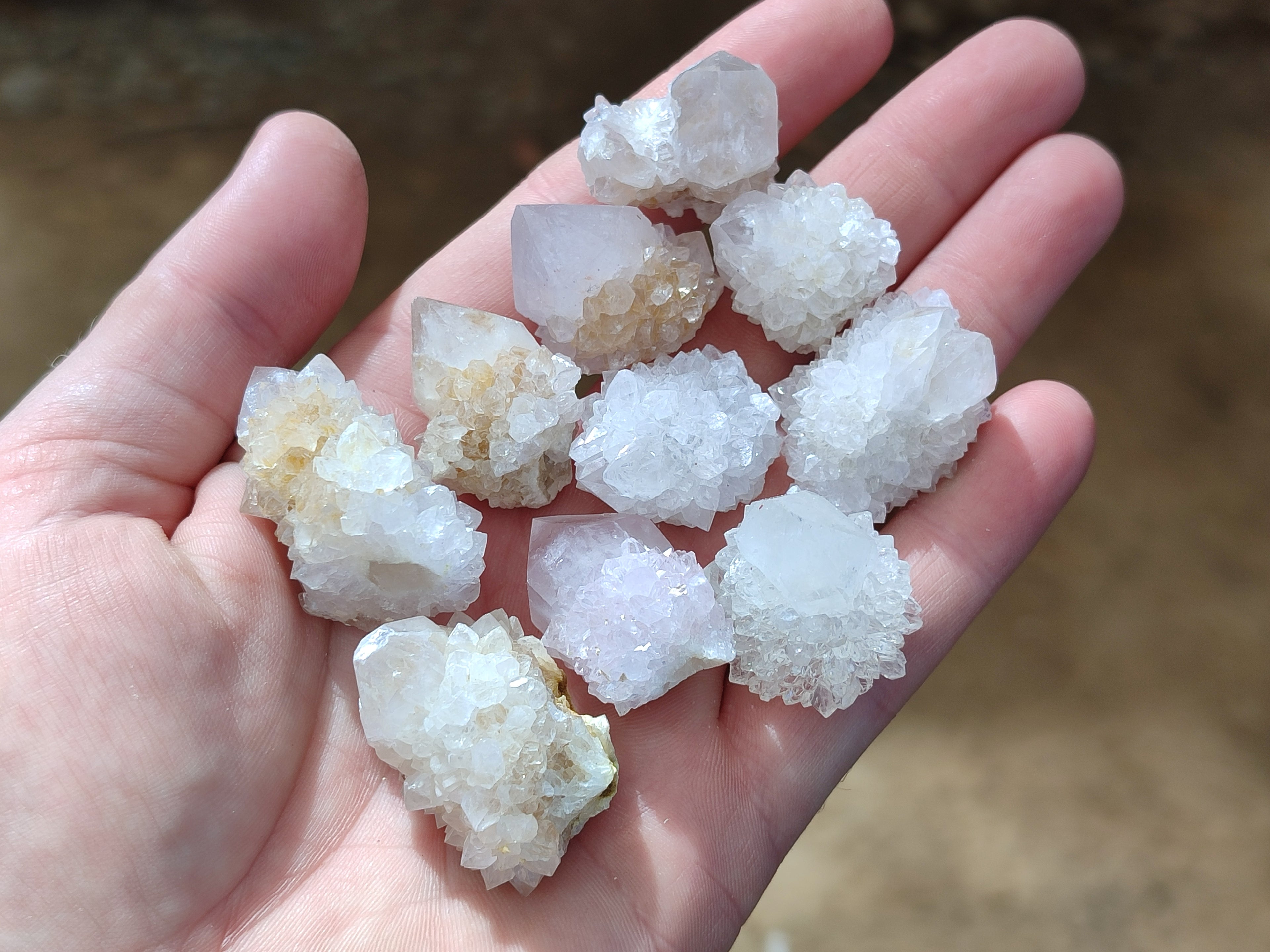 Natural Single White Cactus Flower Spirit Quartz Crystals x 35 From South Africa - Toprock Gemstones and Minerals 