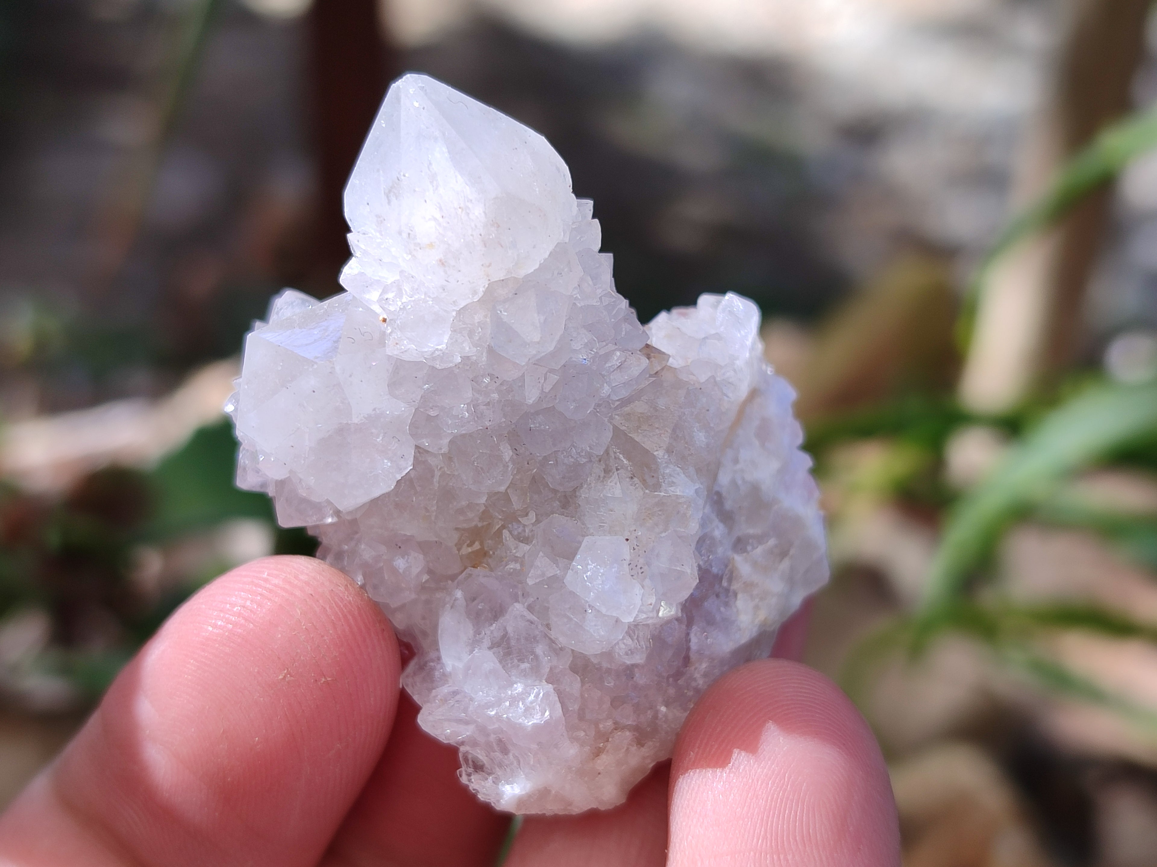 Natural Single White Cactus Flower Spirit Quartz Crystals x 35 From South Africa - Toprock Gemstones and Minerals 