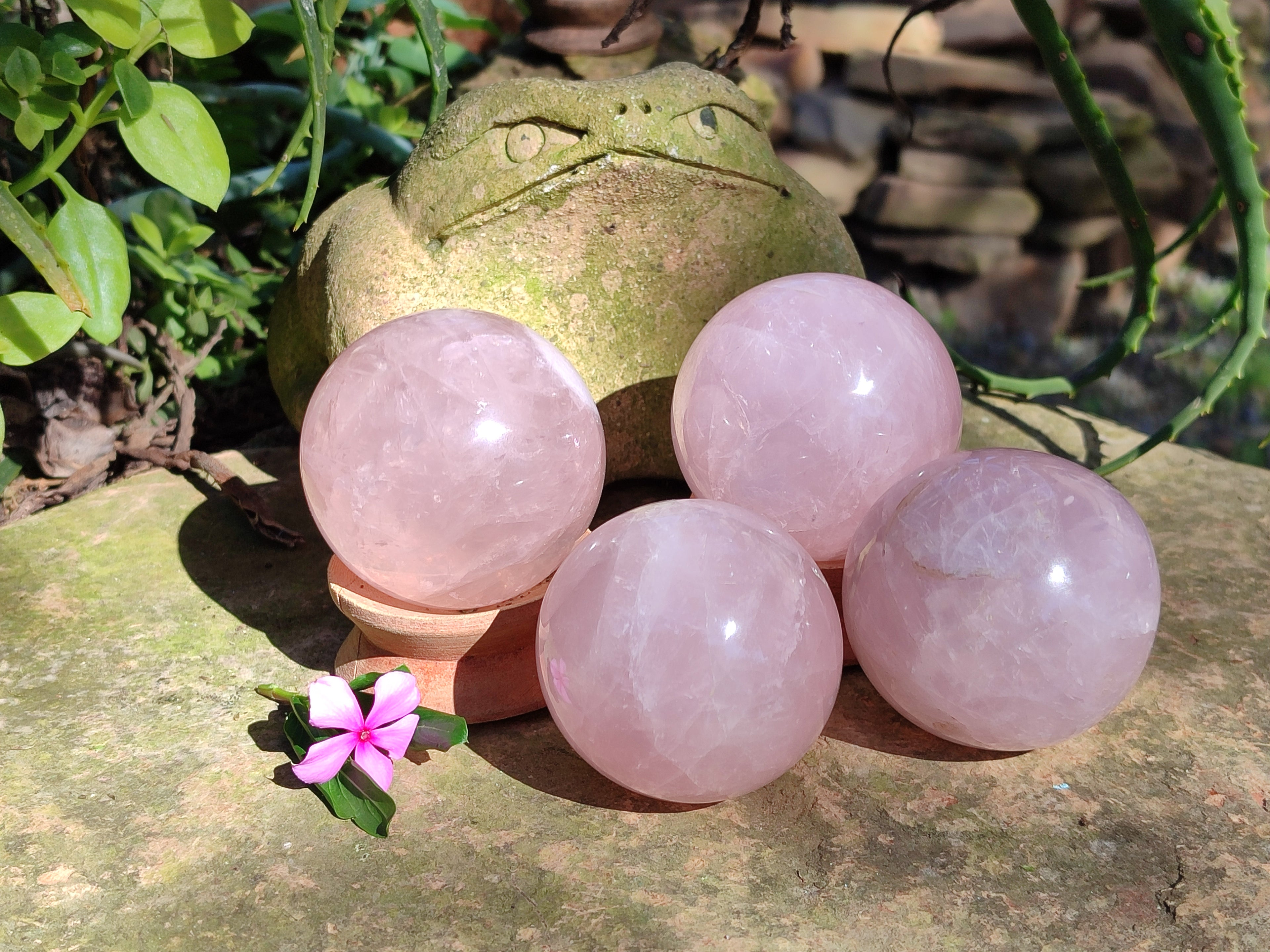 Polished Star Rose Quartz Spheres x 4 From Ambatondrazaka, Madagascar - Toprock Gemstones and Minerals 