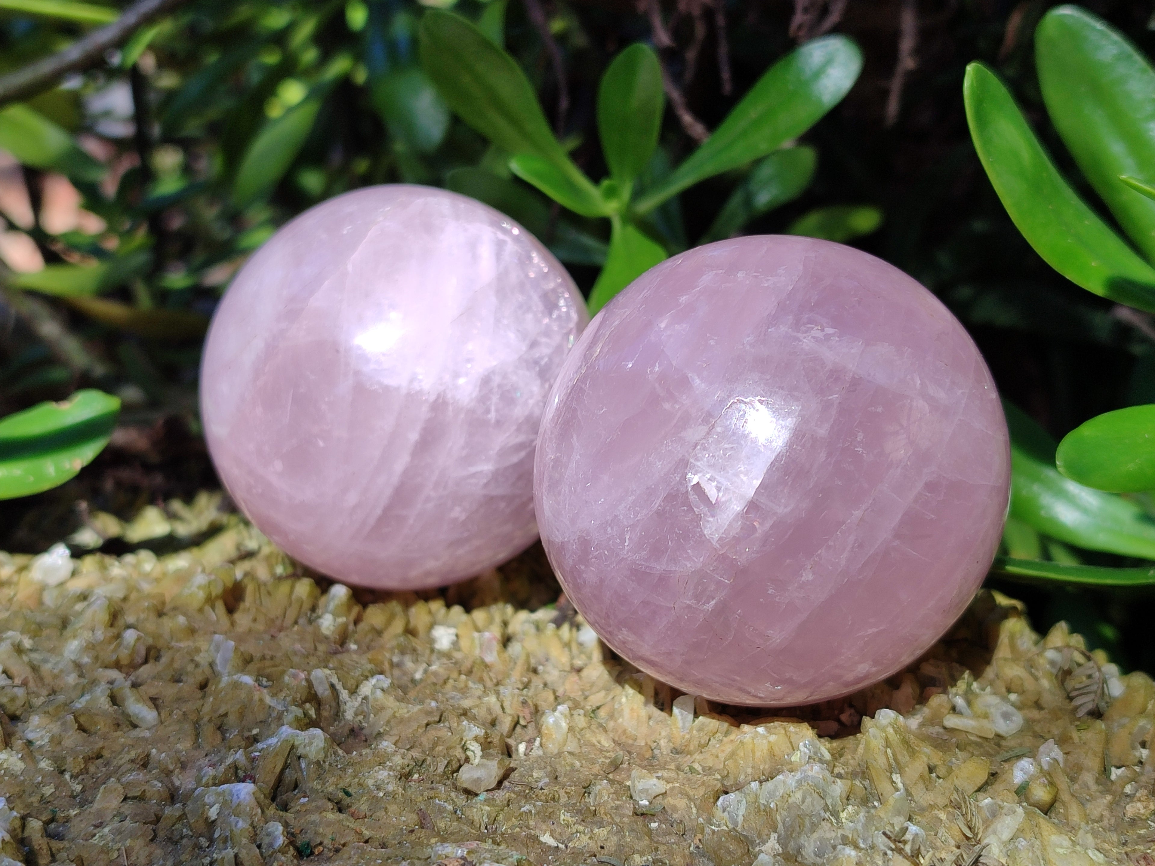 Polished Star Rose Quartz Spheres x 4 From Ambatondrazaka, Madagascar - Toprock Gemstones and Minerals 