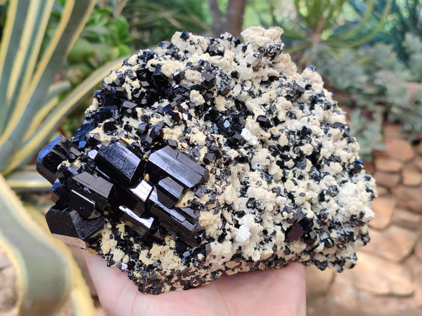 Natural Large Cascading Schorl Black Tourmaline Specimen with Feldspar and Hyalite Opal x 1 From Erongo, Namibia