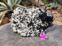 Natural Large Cascading Schorl Black Tourmaline Specimen with Feldspar and Hyalite Opal x 1 From Erongo, Namibia