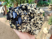 Natural Large Cascading Schorl Black Tourmaline Specimen with Feldspar and Hyalite Opal x 1 From Erongo, Namibia