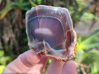 Polished On One Side Red Sashe River Agate Nodules x 24 From Zimbabwe