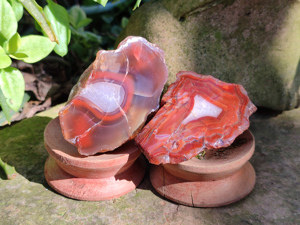Polished On One Side Red Sashe River Agate Nodules x 24 From Zimbabwe - Toprock Gemstones and Minerals 