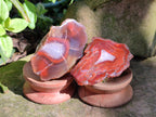 Polished On One Side Red Sashe River Agate Nodules x 24 From Zimbabwe - Toprock Gemstones and Minerals 
