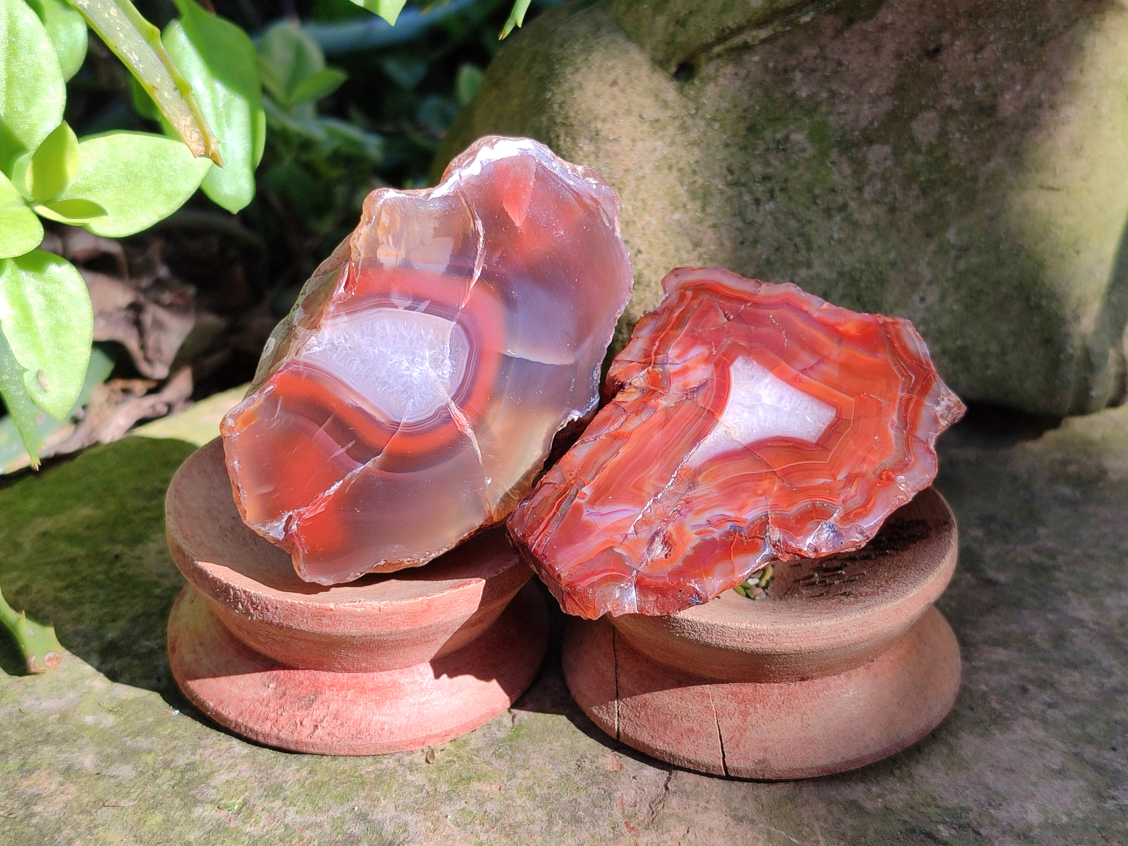 Polished On One Side Red Sashe River Agate Nodules x 24 From Zimbabwe - Toprock Gemstones and Minerals 