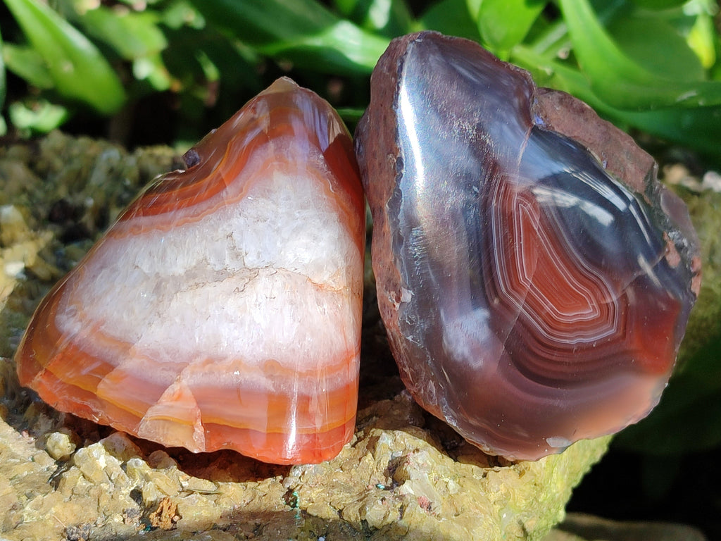 Polished On One Side Red Sashe River Agate Nodules x 24 From Zimbabwe - Toprock Gemstones and Minerals 