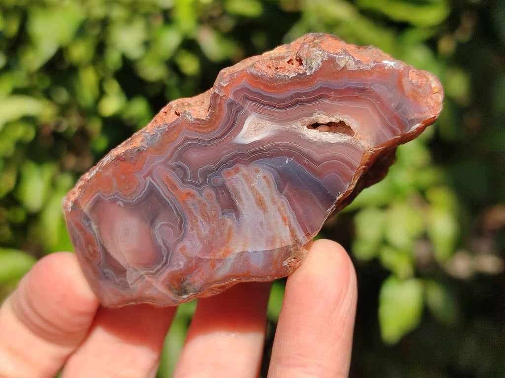 Polished On One Side Red Sashe River Agate Nodules x 24 From Zimbabwe - Toprock Gemstones and Minerals 