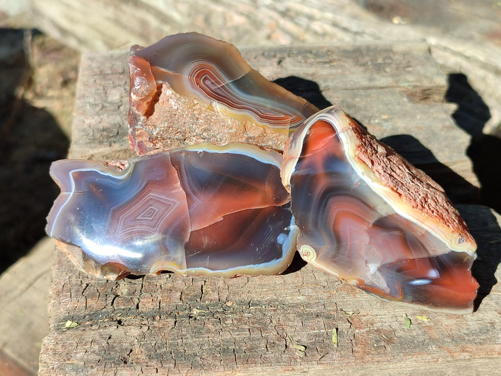 Polished On One Side Red Sashe River Agate Nodules x 24 From Zimbabwe - Toprock Gemstones and Minerals 