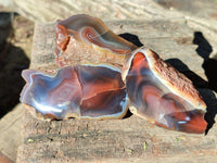 Polished On One Side Red Sashe River Agate Nodules x 24 From Zimbabwe