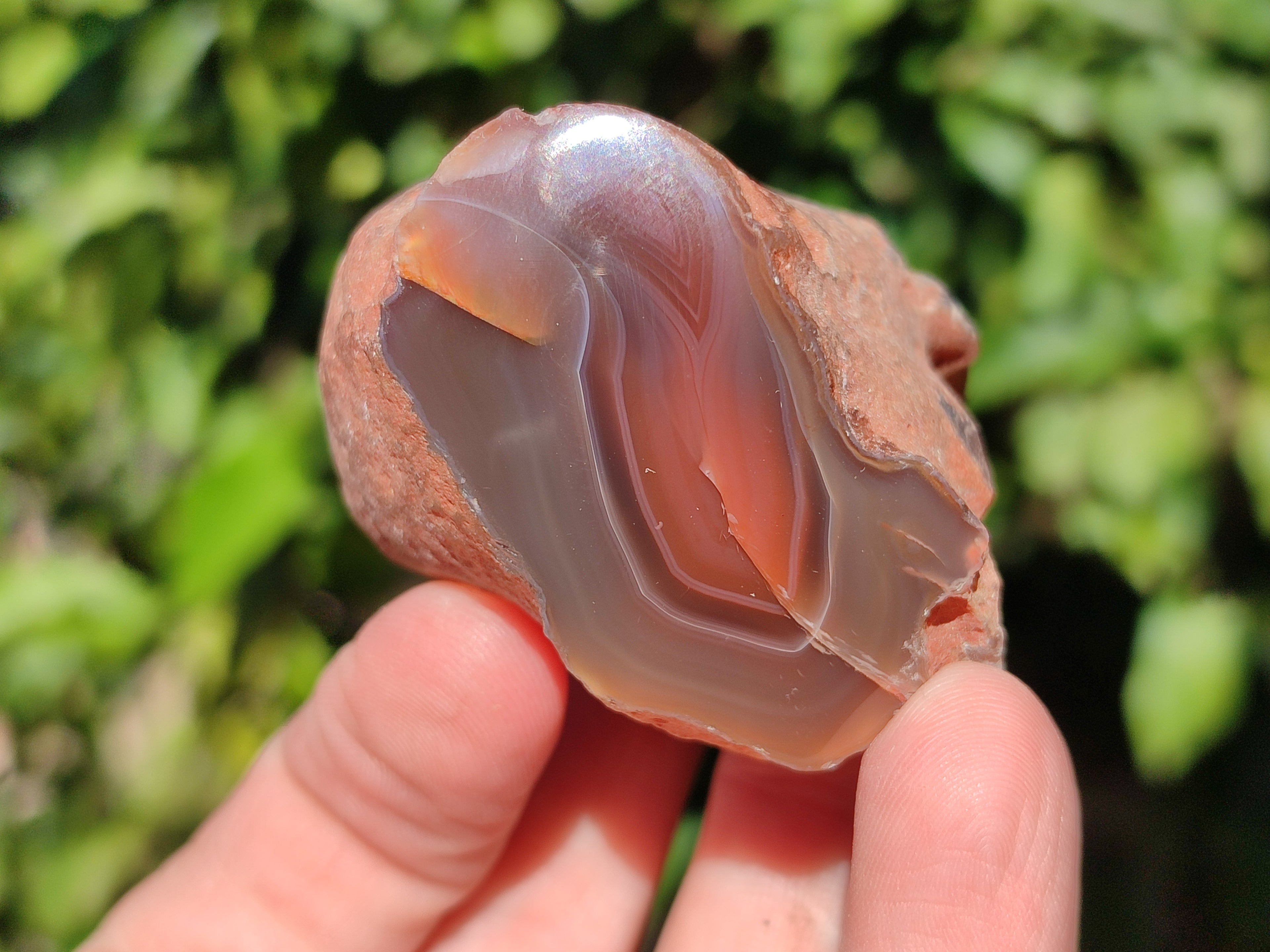 Polished On One Side Red Sashe River Agate Nodules x 24 From Zimbabwe - Toprock Gemstones and Minerals 