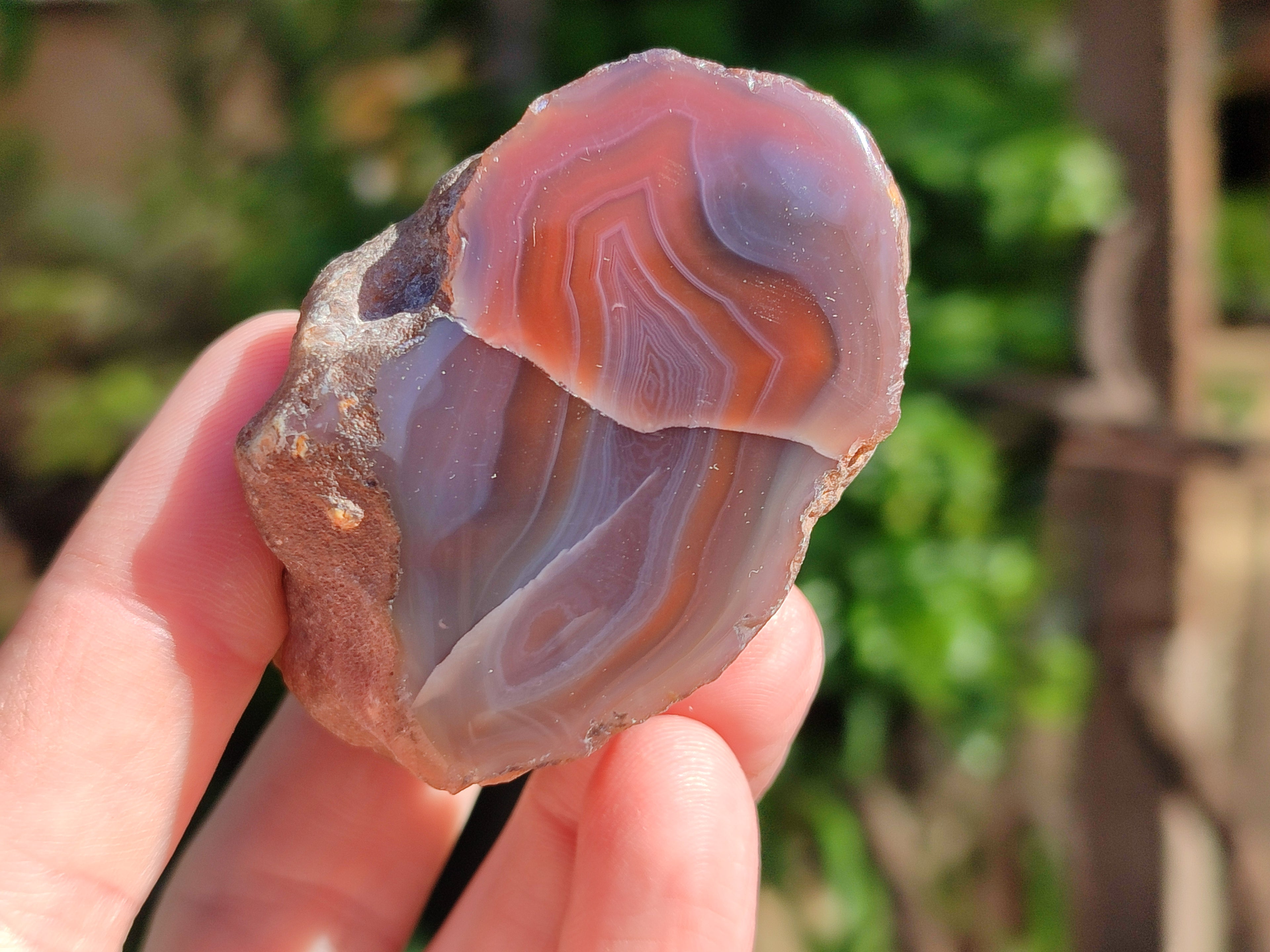 Polished On One Side Red Sashe River Agate Nodules x 24 From Zimbabwe - Toprock Gemstones and Minerals 