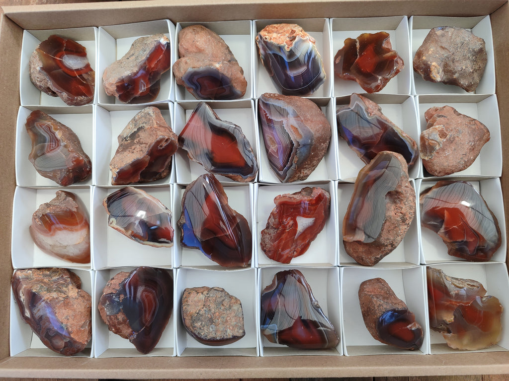 Polished On One Side Red Sashe River Agate Nodules x 24 From Zimbabwe - Toprock Gemstones and Minerals 