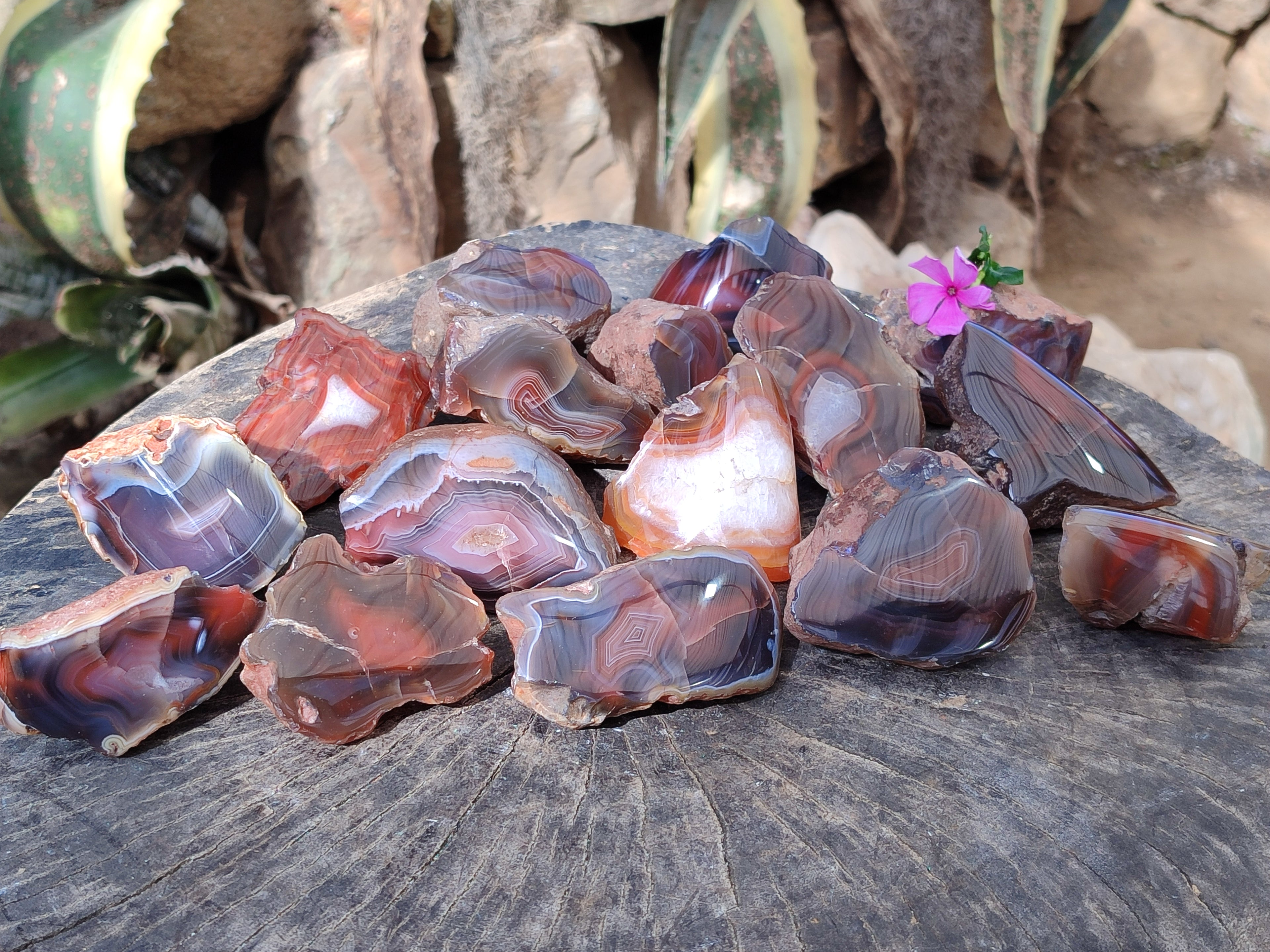 Polished On One Side Red Sashe River Agate Nodules x 24 From Zimbabwe - Toprock Gemstones and Minerals 