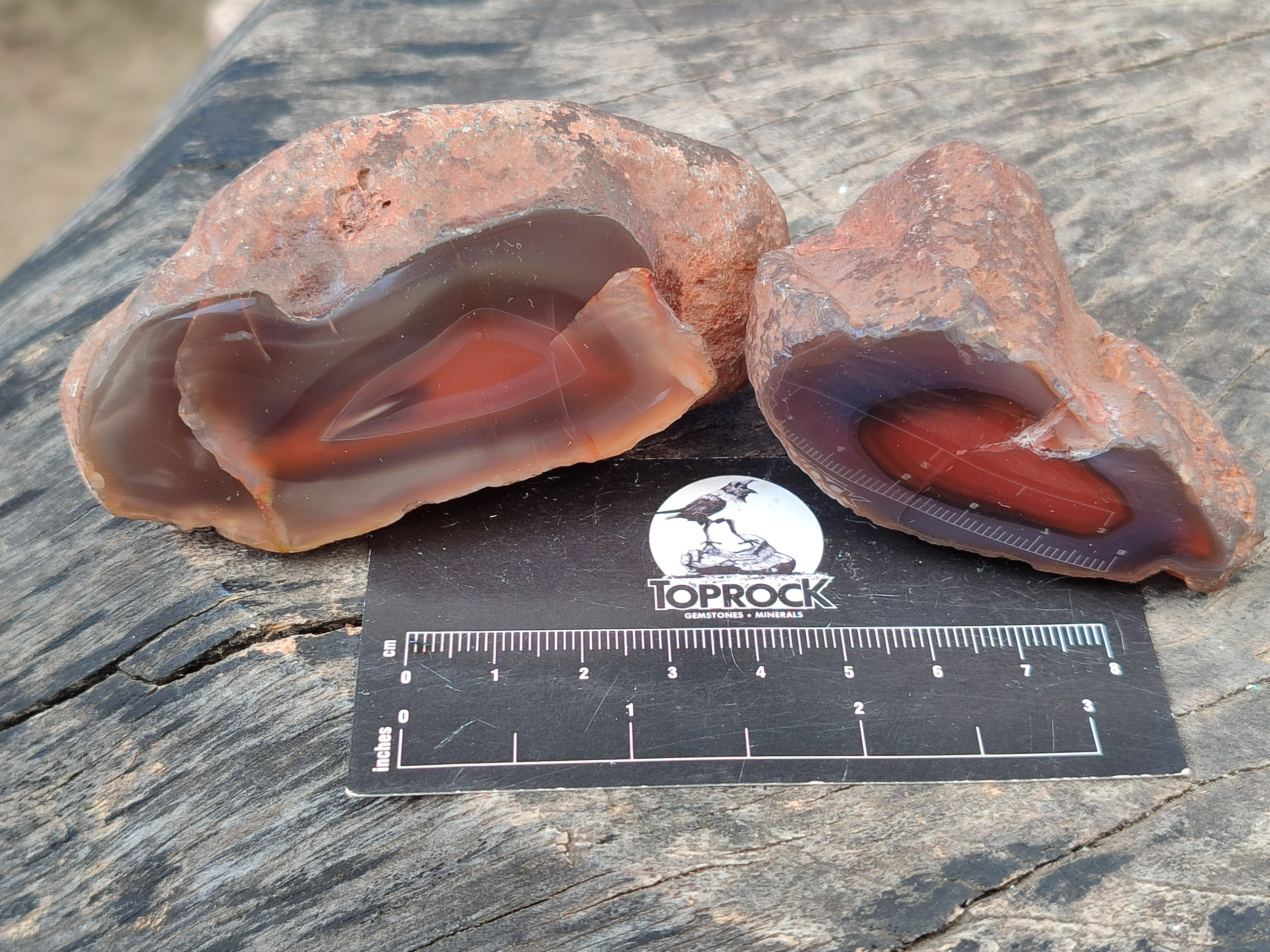 Polished On One Side Red Sashe River Agate Nodules x 24 From Zimbabwe - Toprock Gemstones and Minerals 