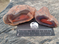 Polished On One Side Red Sashe River Agate Nodules x 24 From Zimbabwe