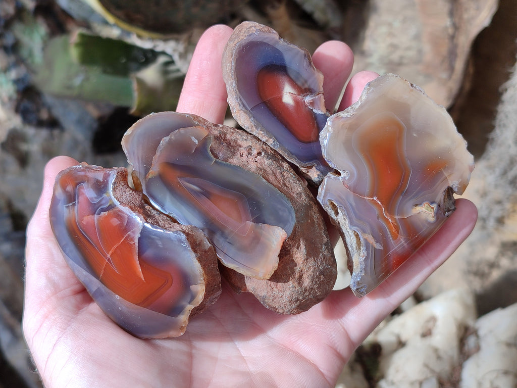 Polished On One Side Red Sashe River Agate Nodules x 24 From Zimbabwe - Toprock Gemstones and Minerals 
