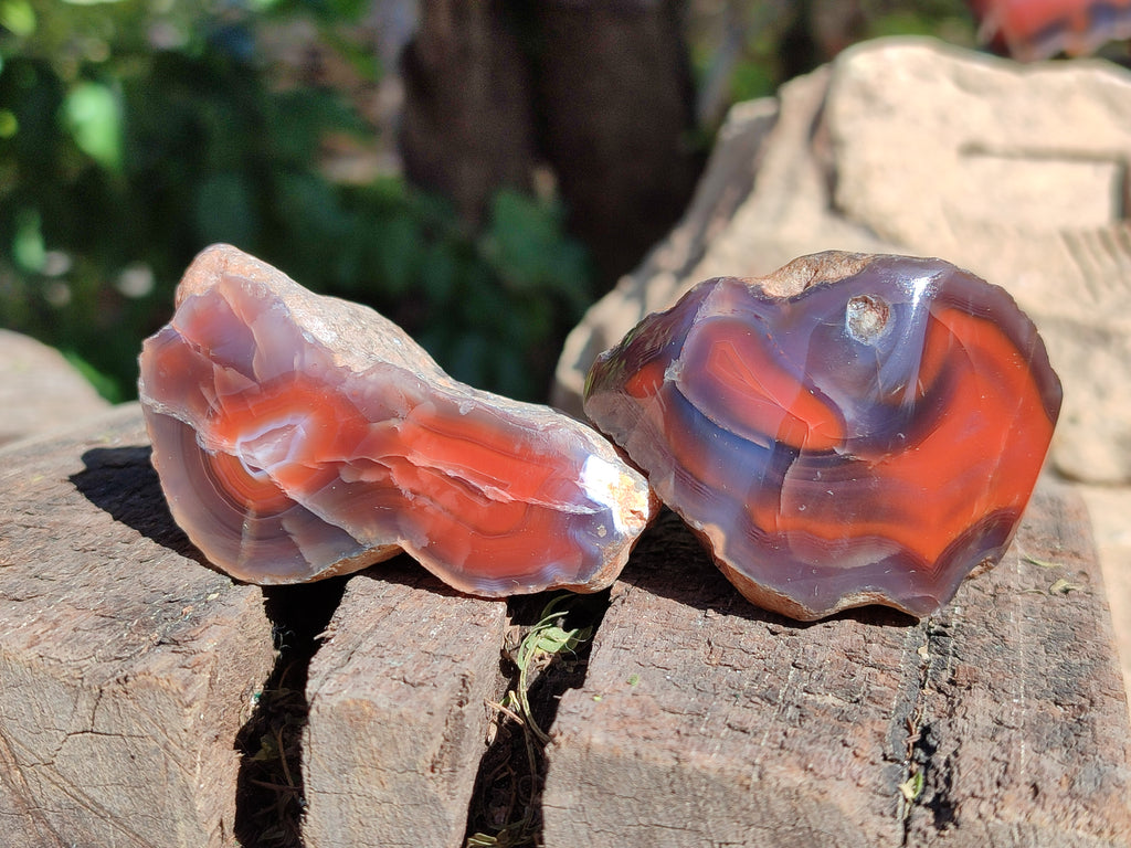 Polished On One Side Red Sashe River Agate Nodules x 24 From Zimbabwe - Toprock Gemstones and Minerals 