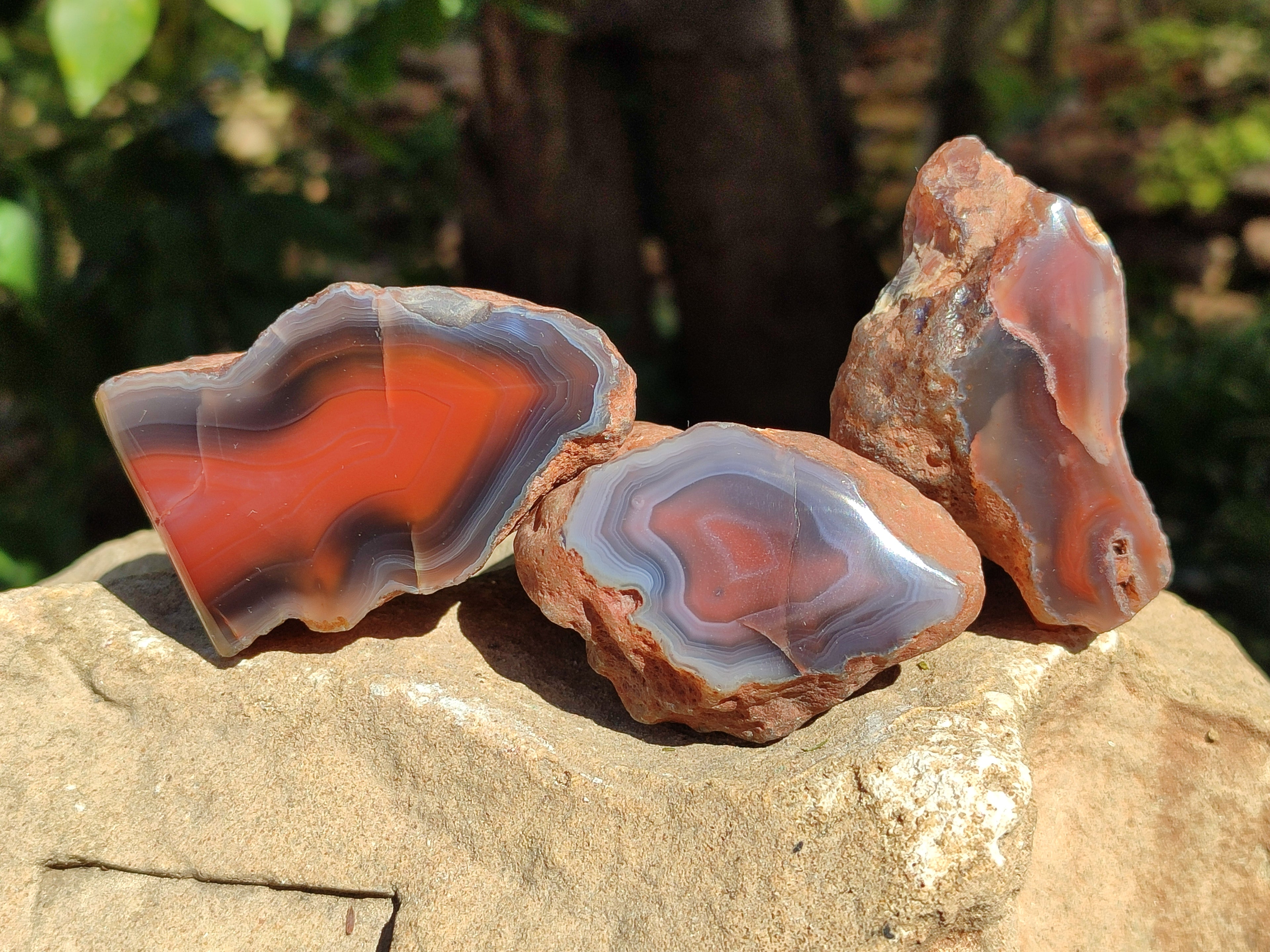 Polished On One Side Red Sashe River Agate Nodules x 24 From Zimbabwe - Toprock Gemstones and Minerals 