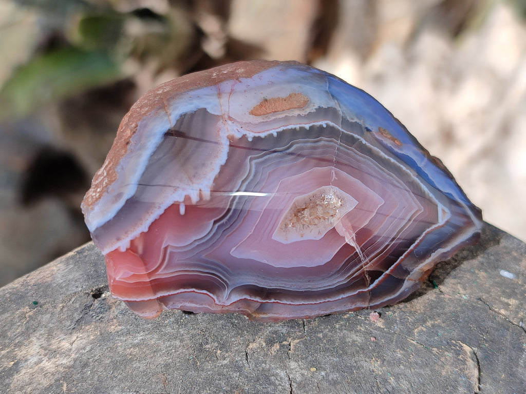 Polished On One Side Red Sashe River Agate Nodules x 24 From Zimbabwe - Toprock Gemstones and Minerals 