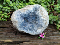 Natural Large Celestite Geode Specimen x 1 From Sakoany, Madagascar