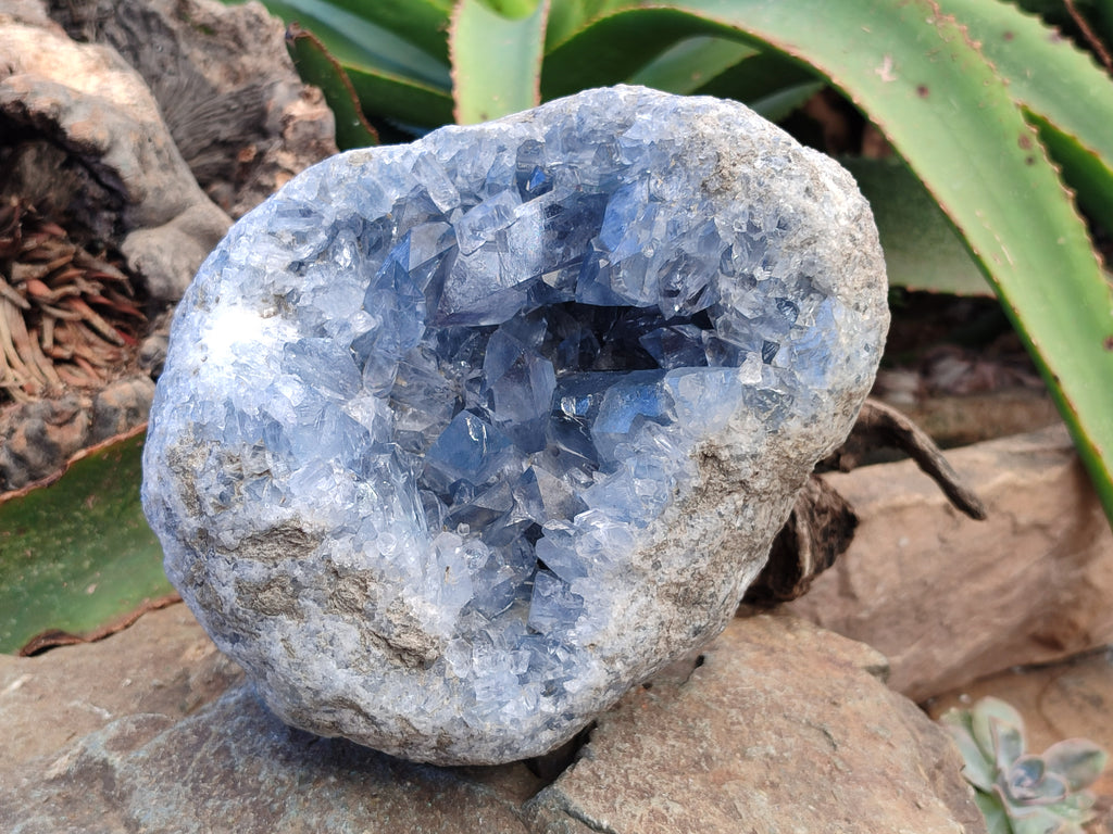 Natural Large Celestite Geode Specimen x 1 From Sakoany, Madagascar - Toprock Gemstones and Minerals 