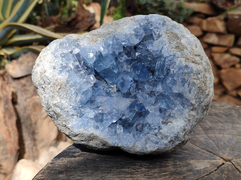 Natural Large Celestite Geode Specimen x 1 From Sakoany, Madagascar - Toprock Gemstones and Minerals 