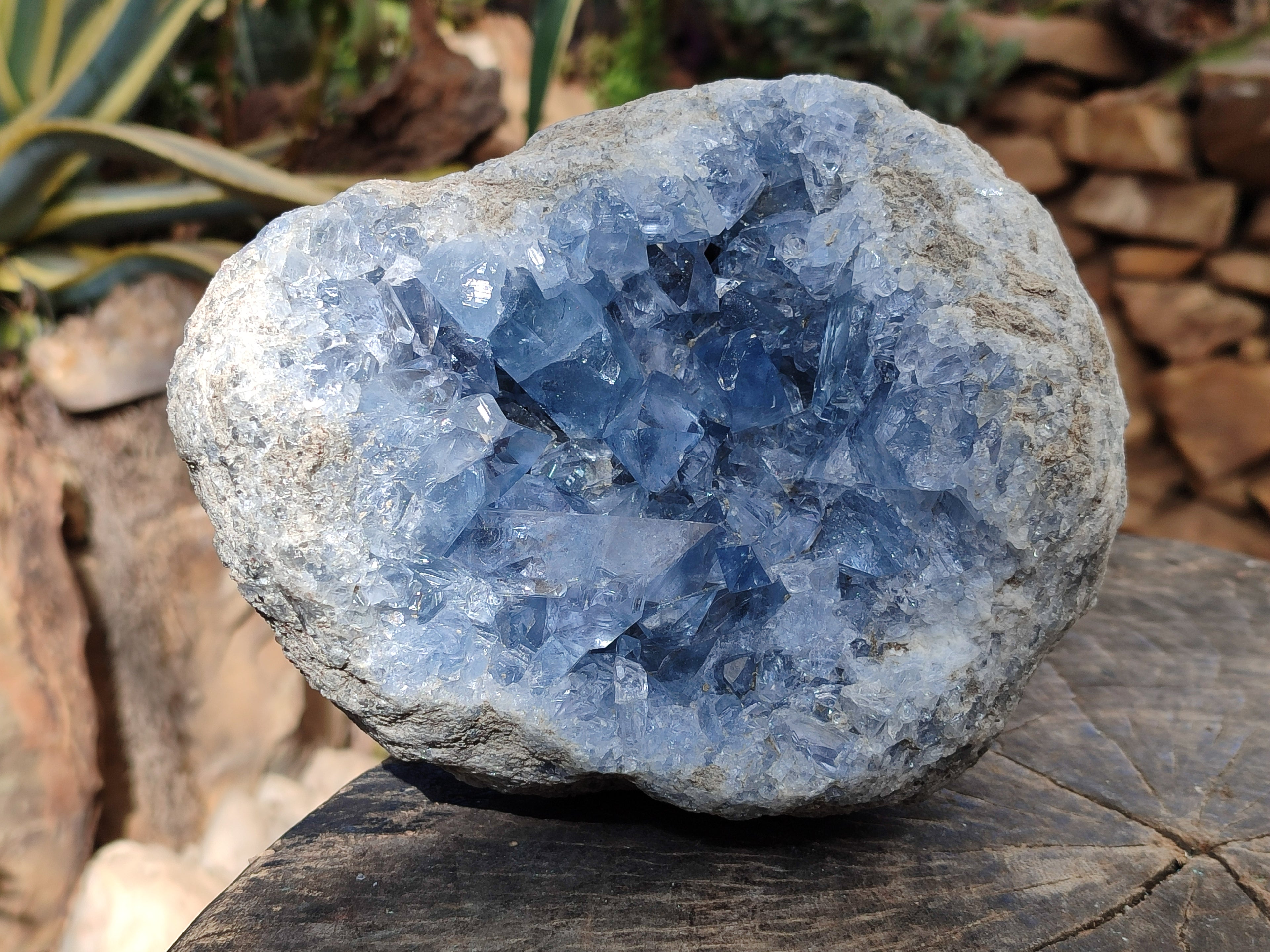 Natural Large Celestite Geode Specimen x 1 From Sakoany, Madagascar - Toprock Gemstones and Minerals 