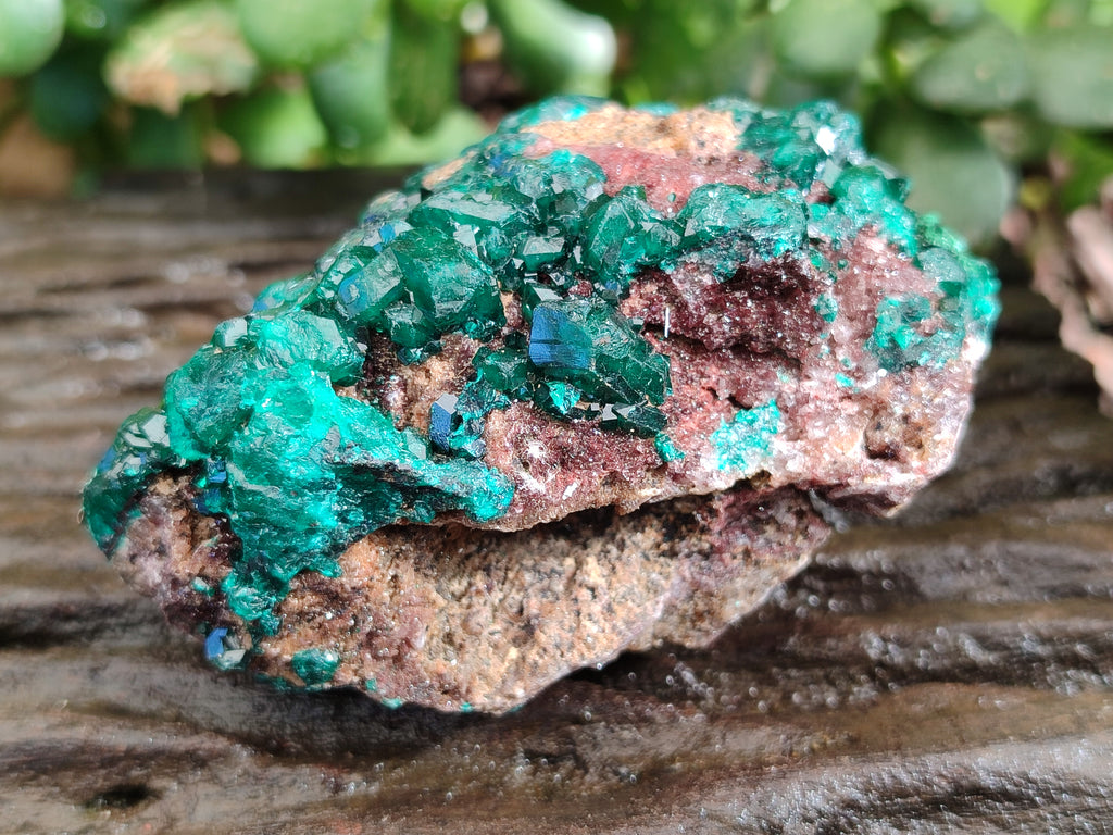 Natural Dioptase On Dolomite Specimens x 3 From Likasi, Congo - Toprock Gemstones and Minerals 