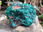 Natural Dioptase On Dolomite Specimens x 3 From Likasi, Congo - Toprock Gemstones and Minerals 